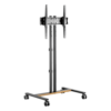 Soporte Móvil para Pantalla | Compatibilidad VESA 200x200 hasta  600x400 / Ruedas con Frenos / Ajuste de Altura y Ángulo / Soporte para TV de hasta 55 Pulgadas / Capacidad de Peso 35 kg